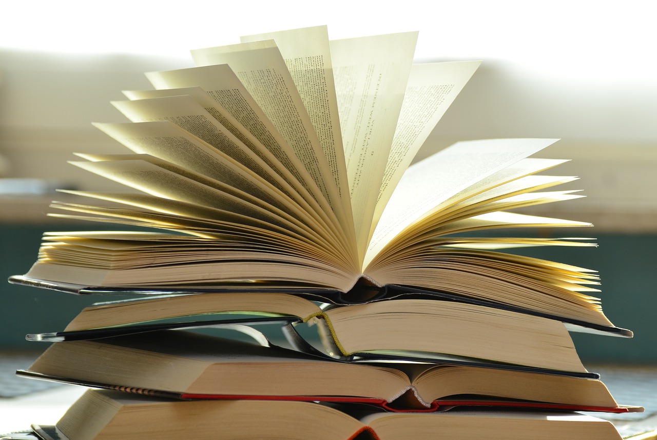 Cover image for College Reading and Writing